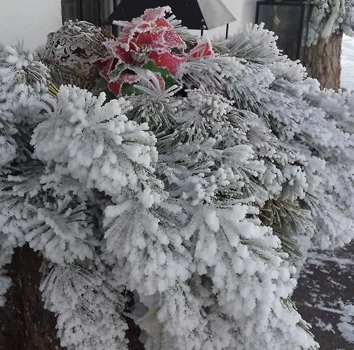 Kuhtaier Alm Ξενοδοχείο με διαμερίσματα